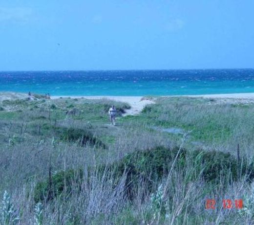 Semifrontal con vistas a pie de playawifi