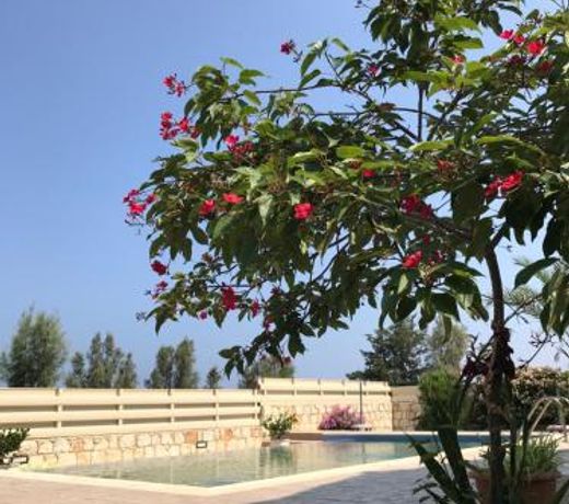 Savvas Villa
