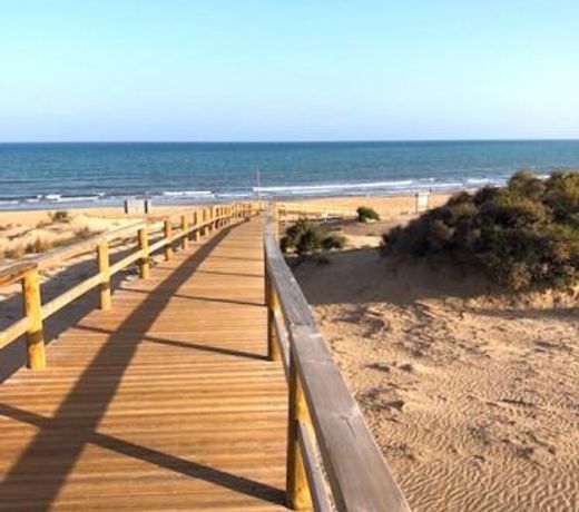 ESPAGNE - ALICANTE - GUARDAMAR DEL SEGURA