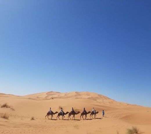 Sandfisch luxury camp