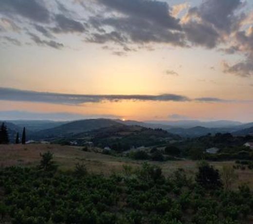 Gite Vigneron du Domaine d'Alon