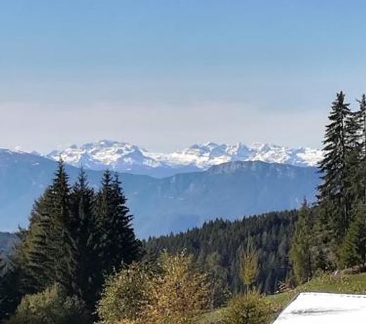 FEWO - Vinea - Wieser Josef - Marling