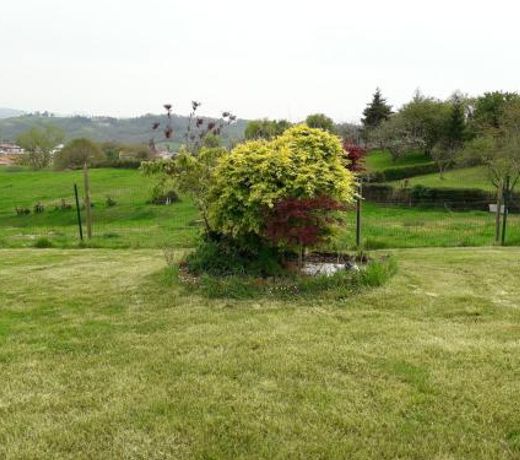 La Pinera