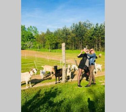 The Blue Bird House & Garden MA 21000490