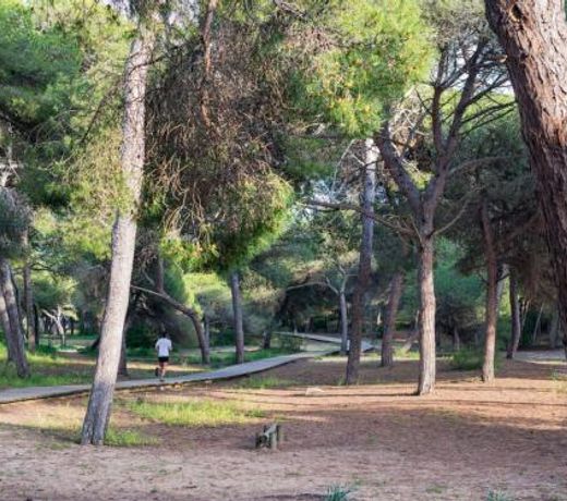 Apartment Almadraba
