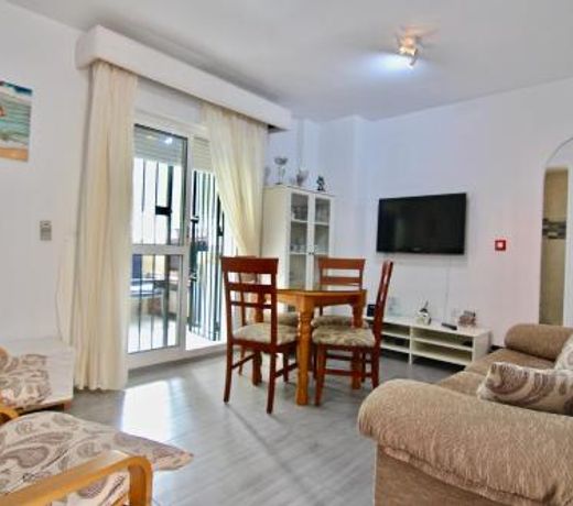 Apartamento Playa y Bosque