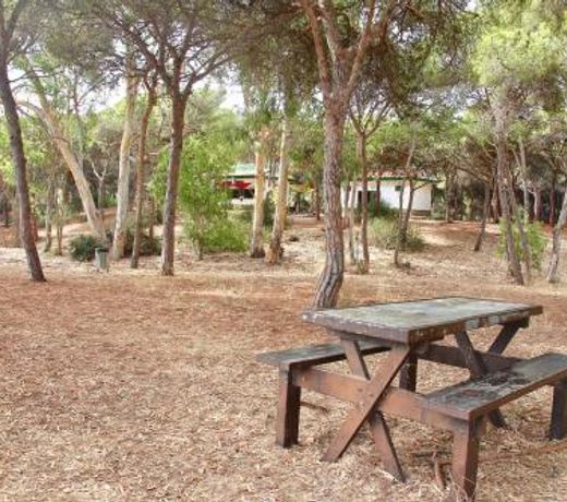 Apartamento Playa y Bosque