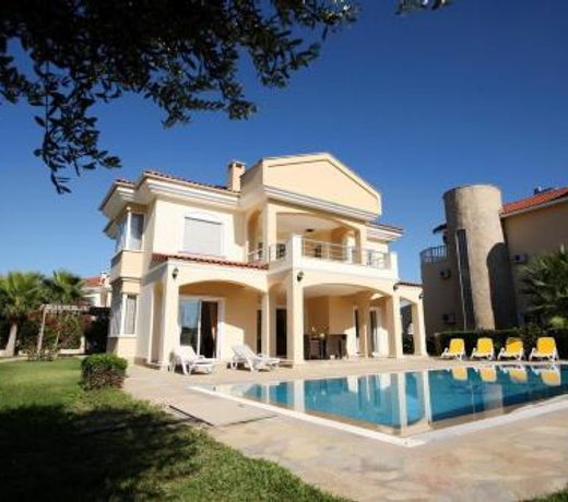 Palm Villa 4