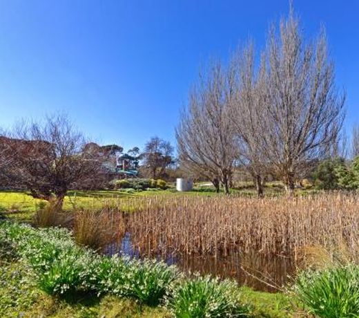 Ventnor Guest House
