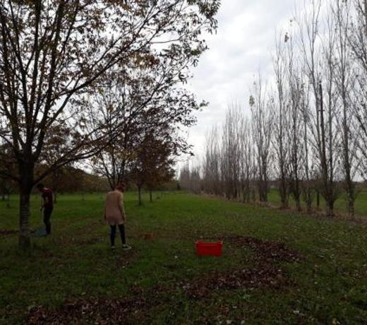 Finca El Encuentro