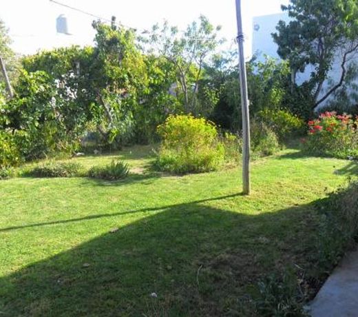 Oasis Pa Clau