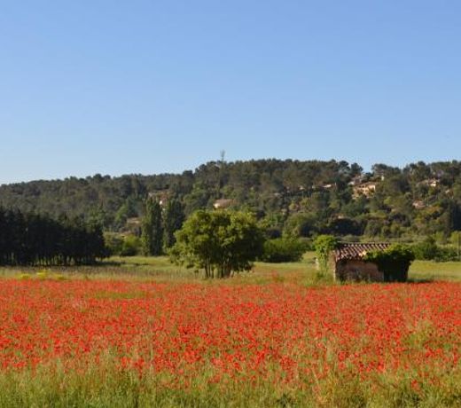 Groundfloor Provencal Appartment