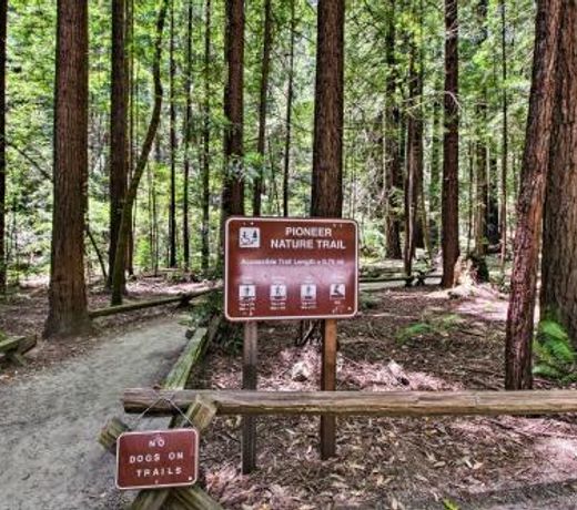 Guerneville Home, Walk to the Russian River!
