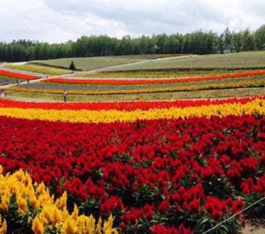 Ark City Asahikawa - Vacation STAY 8525