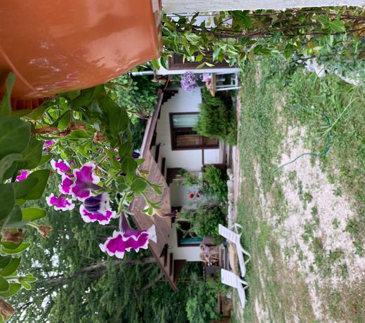 Guest house Â«ÐÐµÑÐ½Ð¾Ðµ Ð¦Ð°ÑÑÑÐ²Ð¾Â»