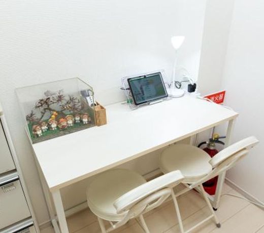 Kinugawa Station Front room B