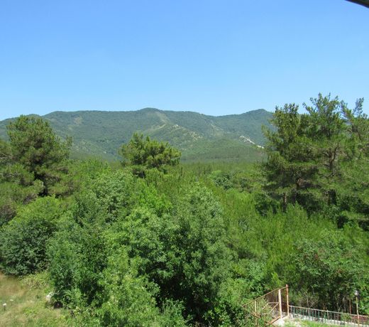 Guest house