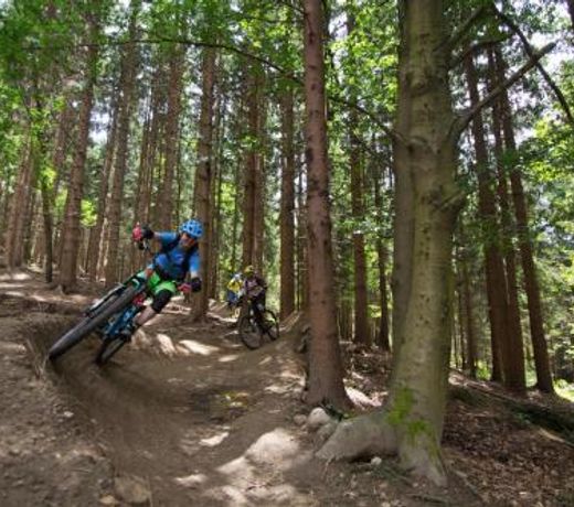 Traumblick - Alpe Adria Apartments Top 16