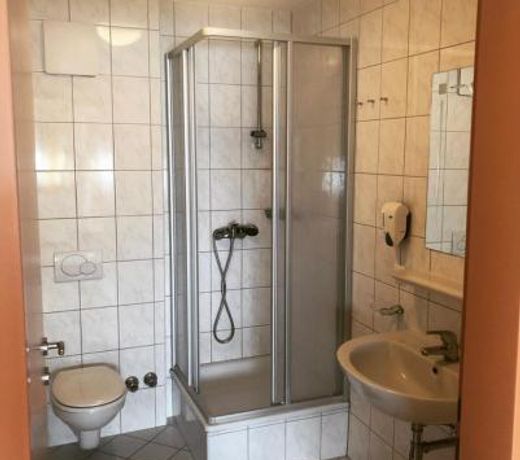 Gasthaus-Pension zum Lowen