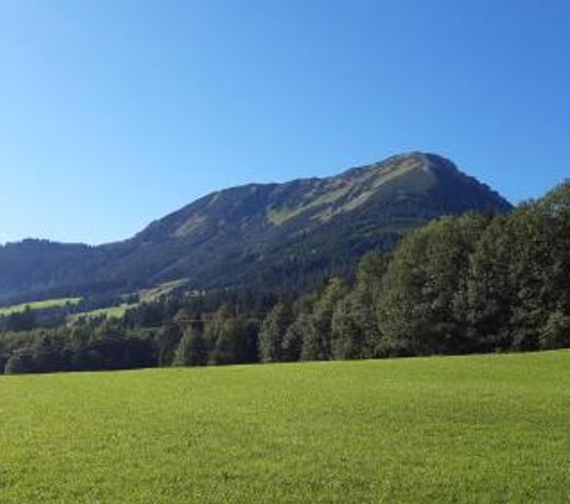 Ferienhaus Alpsteig