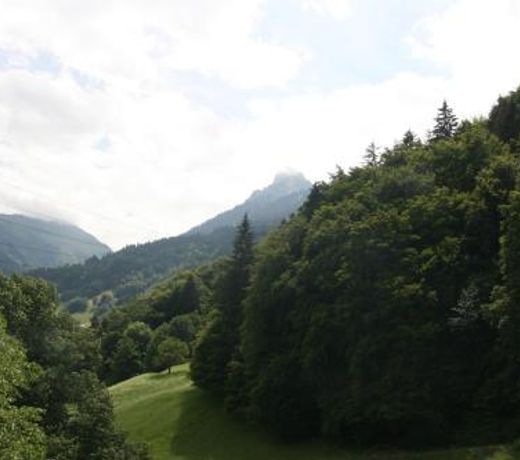 Montafon Apartment