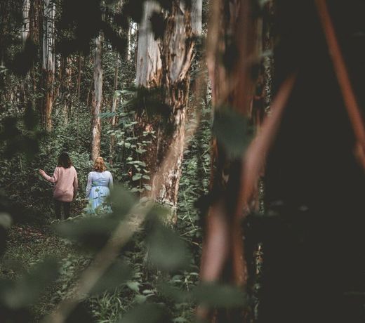 The Lyrebird Guesthouse at Falls Forest Retreat