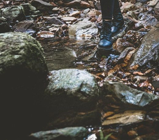 The Lyrebird Guesthouse at Falls Forest Retreat