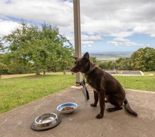 Captain's Lookout - elevated ocean views, rural stay