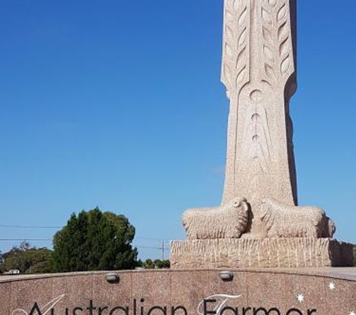 Wudinna Farm View
