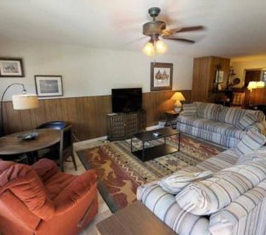 Ski View Condo Lodge #10