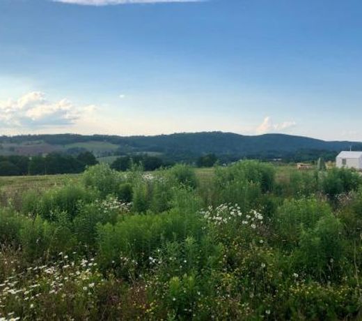 Tentrr - Hudson Valley Hilltop Campsite 2