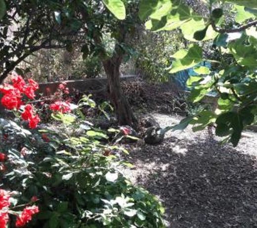 La casa ai piedi del Monte