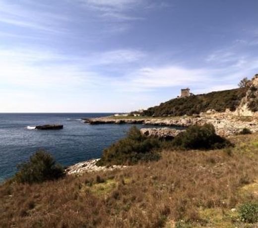 Santa Caterina StellAmare |SITCase