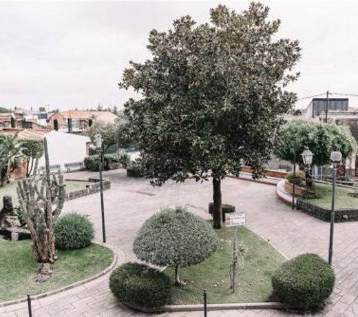 Tisa Guest House