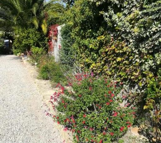 la figuiere