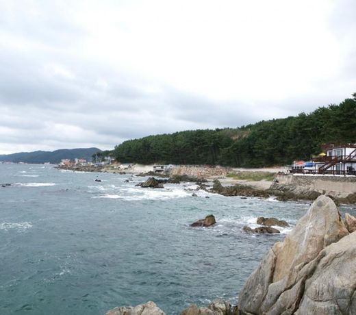 Bada Sori Pension