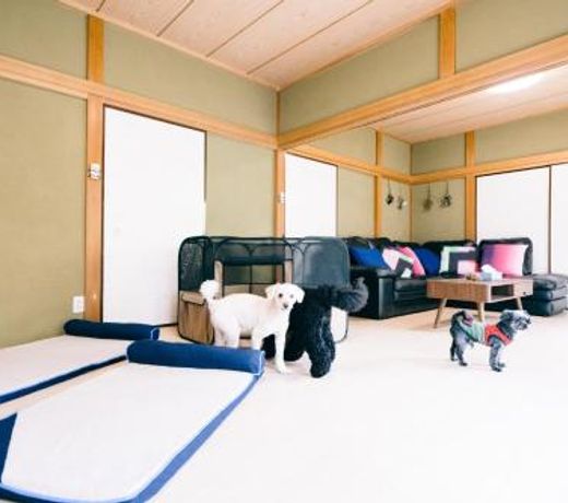 Emerarudo house Kujukurihama - Vacation STAY 19212v