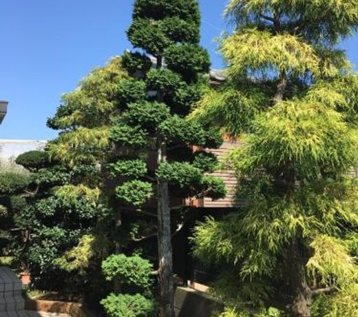 Kamagaya - House - Vacation STAY 9556