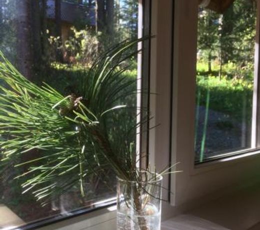 ÐÐ° ÐÑÐµÑÐ¾Ð²Ð¾Ð¸