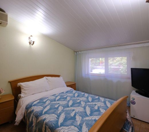 Room with double bed and mountain view