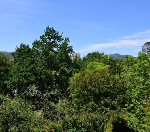 Cloudsong Chalet 3 - Close to the village centre!