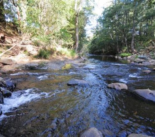 Willabrook Retreat - Rest Cottage - Spoil yourself!