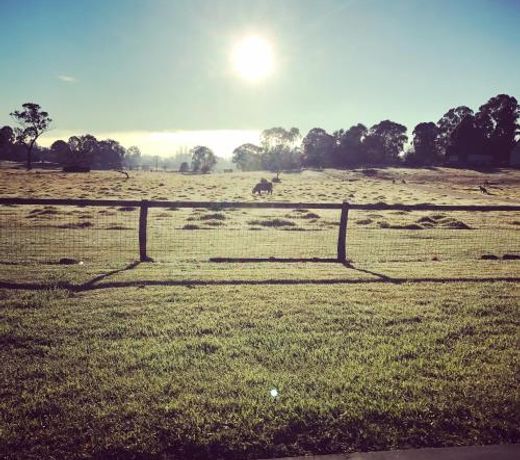 AMâs Farm Stay
