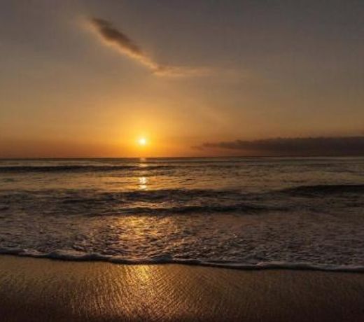 At home on the beach...