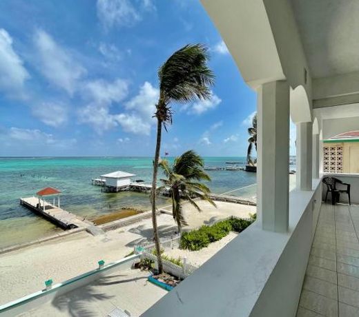 Belizean Reef Suites