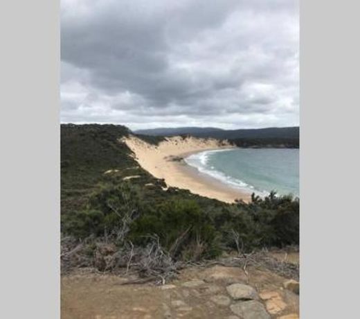 Roaring Beach Surf Shack - private beach access
