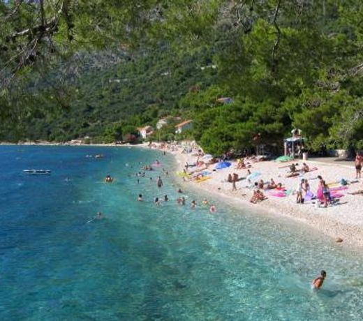 Apartments by the sea Zivogosce - Porat, Makarska - 6699