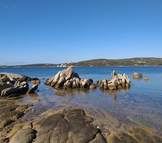 Elsanais