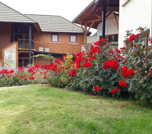 NearBy Hotel