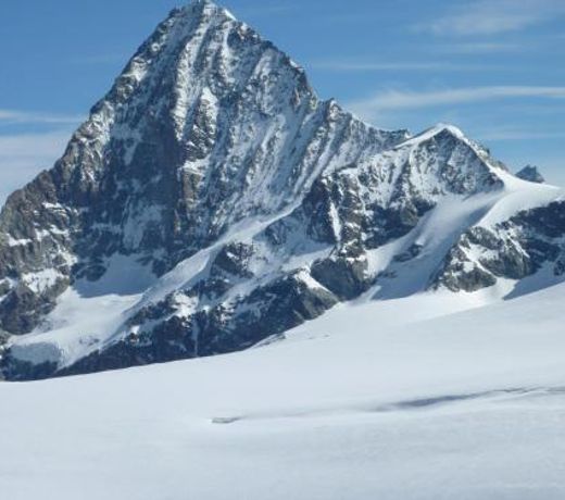 Le Chamois